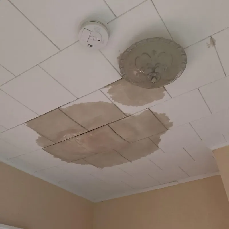 Ceiling Water Damage Repair in Clark, SD